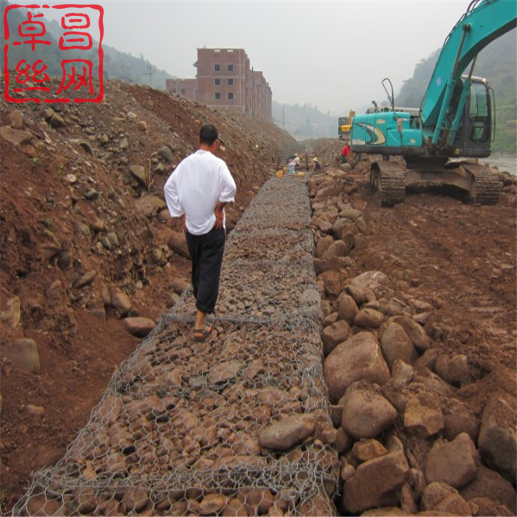 1626571146694043290.jpg 626.jpg