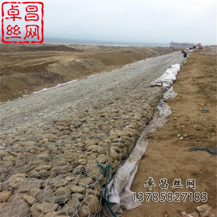 1653613574111041843.jpg 卓昌 (475).jpg