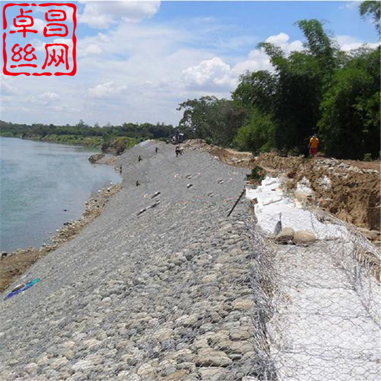 1653785942096061753.jpg 卓昌 (268).jpg