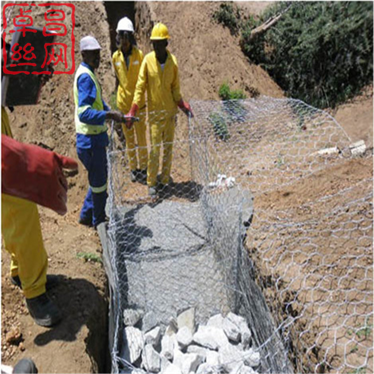 1654646441362024710.jpg 1520.jpg