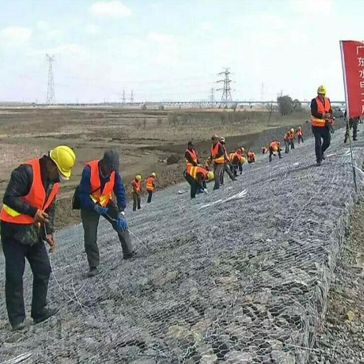 1655944850652001119.jpg 1782(9).jpg