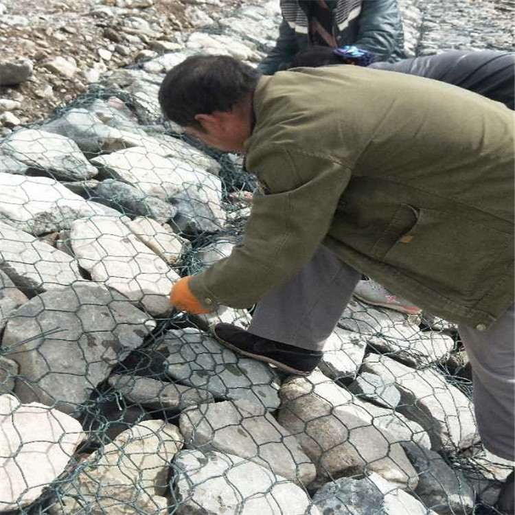 1658456194053090868.jpg 1768 (21).jpg