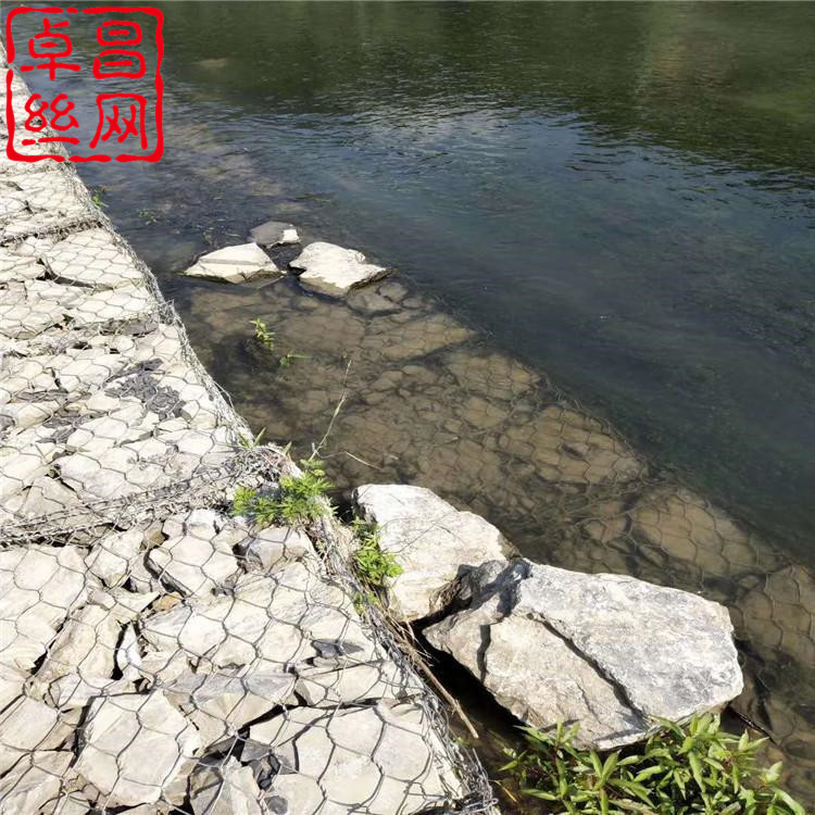 1692495883304054561.jpg 1750.jpg